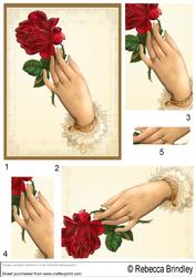 A Single Red Rose Pyramid