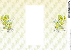 Baby Buggy New Baby Gatefold Insert