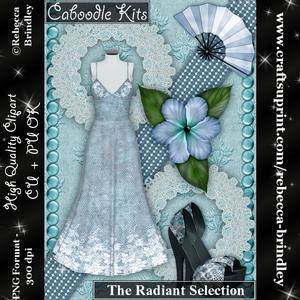 Caboodle Kits - the Radiant Selection