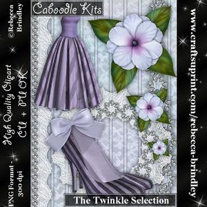 Caboodle Kits - the Twinkle Selection