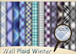 Well Plaid Winter Paperpack