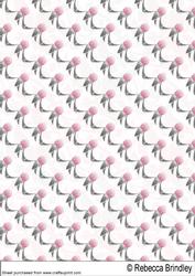 Beaute De La Soiree Backing Paper 3