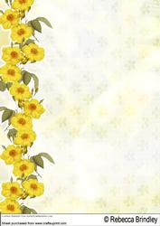 A Host of Daffodils Backing Sheet 1