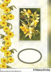 A Host of Daffodils A4