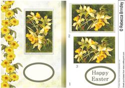 A Host of Daffodils Step by Step