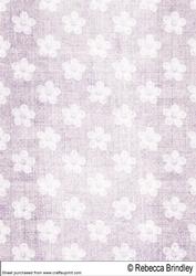 Ascot Belle Backing Paper 1