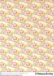 Pansy Parade Backing Paper 2