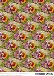 Pansy Parade Backing Paper 1
