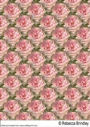 Full Bloom Backing Paper 2