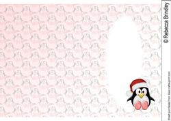 The Little Christmas Penguin Insert
