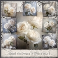 Smell the Roses in White Mix 1