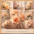 Smell the Roses in Peach Mix 1