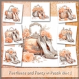 Footloose and Fancy in Peach Mix 1