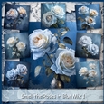 Smell the Roses in Blue Mix 1