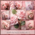 Smell the Roses in Pink Mix 1
