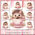 Teacup Hedgehog in Pink Mix 1
