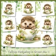 Teacup Hedgehog in Green Mix 1