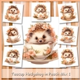 Teacup Hedgehog in Peach Mix 1