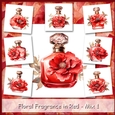 Floral Fragrance in Red - Mix 1