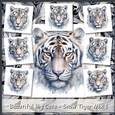 Beautiful Big Cats - Snow Tiger Mix 1
