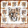 Beautiful Big Cats - Mountain Lion Mix 1