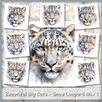Beautiful Big Cats - Snow Leopard Mix 1