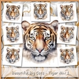 Beautiful Big Cats - Tiger Mix 1