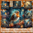 Christmas Birds - European Robin Mix 1