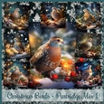 Christmas Birds - European Partridge Mix 1