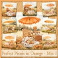 Perfect Picnic in Orange - Mix 1