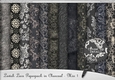 Lavish Lace Paperpack in Charcoal - Mix 1