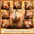 Oriental Crane in Orange - Mix 1