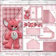 Midnight Kitty Teardrop Card Kit in Magenta