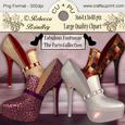 Fabulous Footwear - the Paris Collection