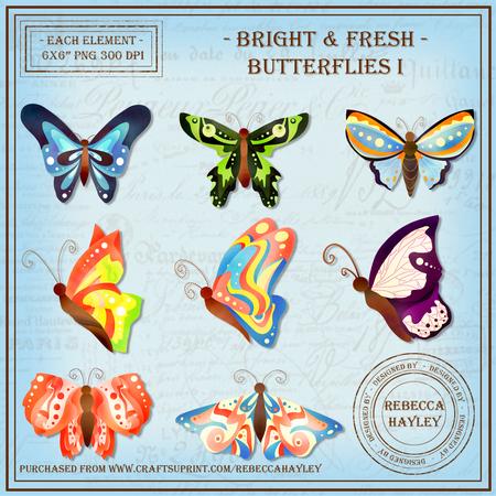 Bright and Fresh Butterflies 1
