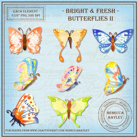 Bright and Fresh Butterflies 2