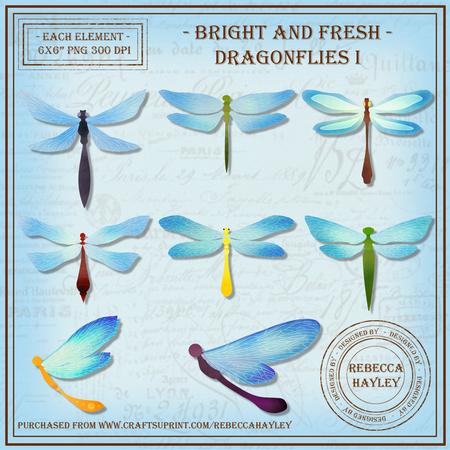 Bright & Fresh Dragonflies 1