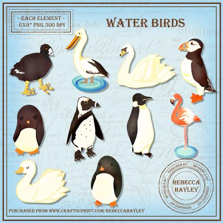 Bright & Fresh Water Birds
