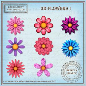 3D Flowers 1