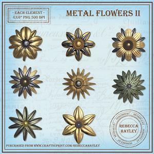 Metal Flowers 2