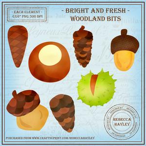 Bright & Fresh Woodland Bits