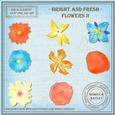 Bright & Fresh Flowers 2