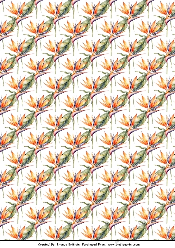 Bird of Paradise Background Paper A4