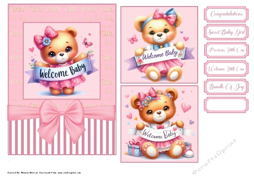 Welcome Baby Girl Card 7x 5