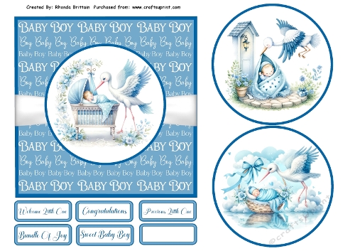 Stork Delivery Baby Boy Card Front 6x6