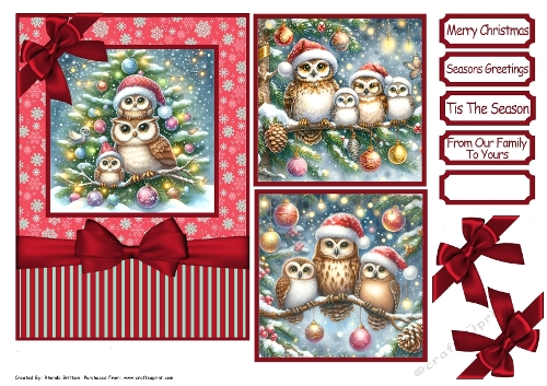 Festive Christmas Owls Card Front 7x5