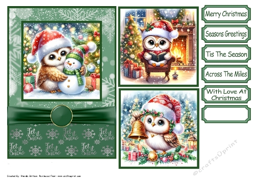 Christmas Owls Card Front 5x7