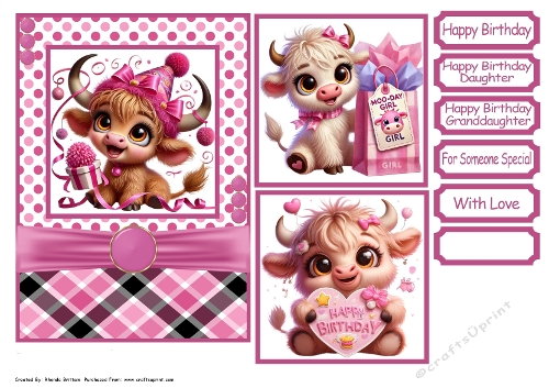 Pretty in Pink Birthday Card Front 5x7