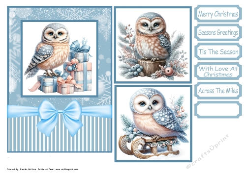 Christmas Winter Owls Card Front 5x7
