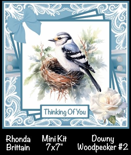 Downey Woodpecker 2 Mini Kit 7x7